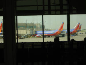 dsc01310.jpg